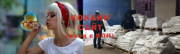 гашик Алзамай