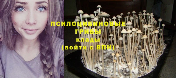 герыч Абаза